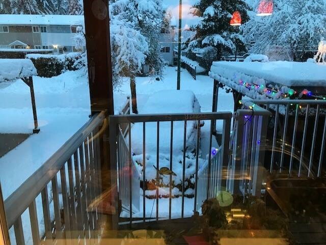A view of the snow in Gold River, from Mayor Brad Unger's window.   BRAD UNGER PHOTO