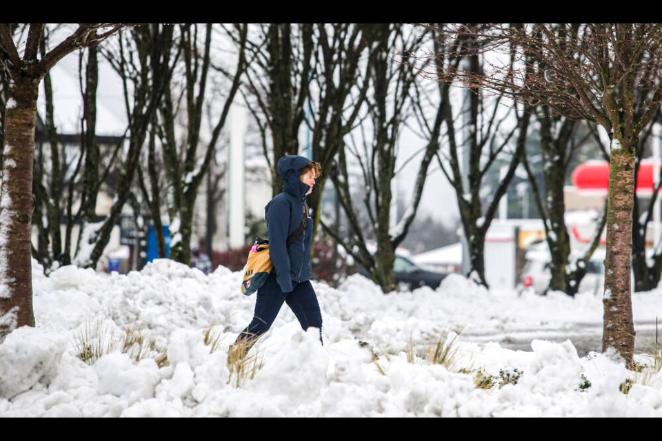 A woman makes her way through mounds of snow near Hillside and Shelbourne on Thursday. ADRIAN LAM, TIMES COLONIST 