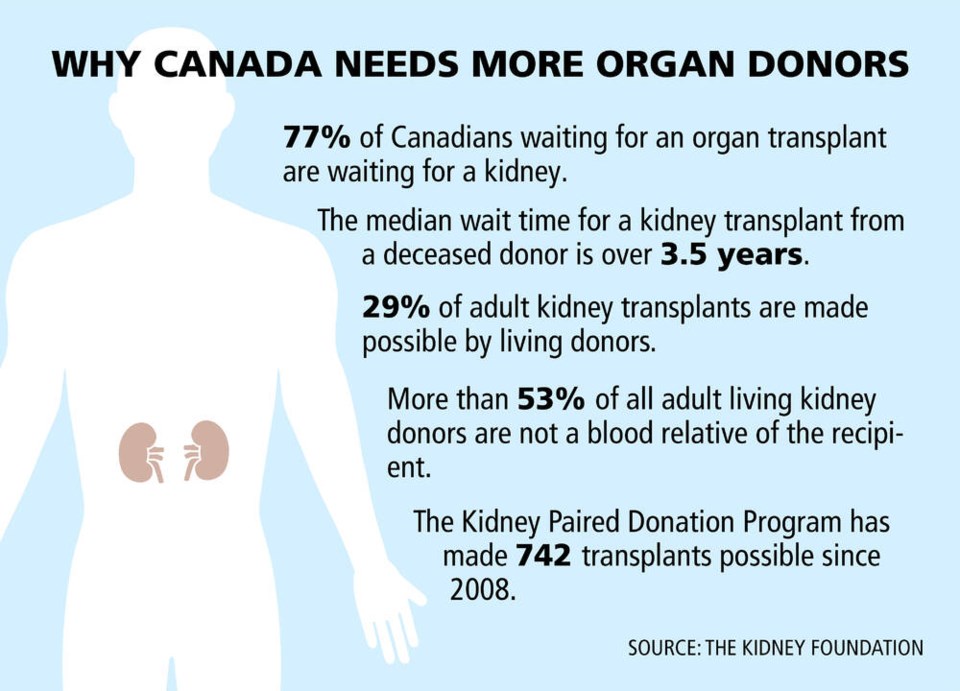 web1_kidney-donation-fact-box