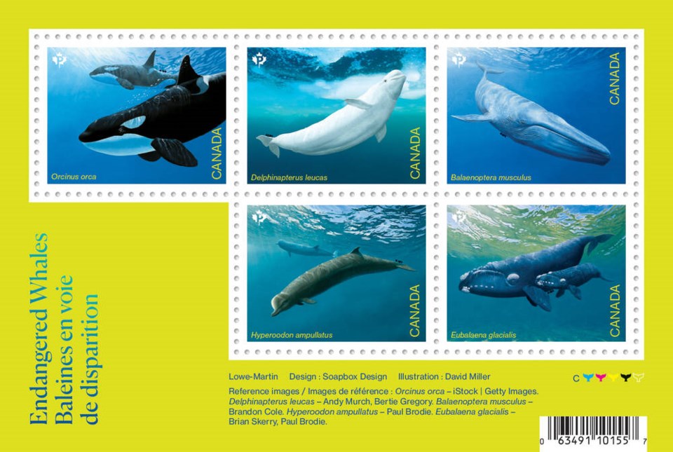 web1_endangered-whales-souvenir-sheet--1-