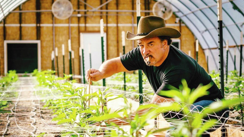Cannabis conference featuring singer-actor Jim Belushi is coming to  Victoria in June - Victoria Times Colonist