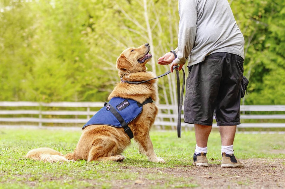 Our Community Dog calendar contest, return of live Goddess Run