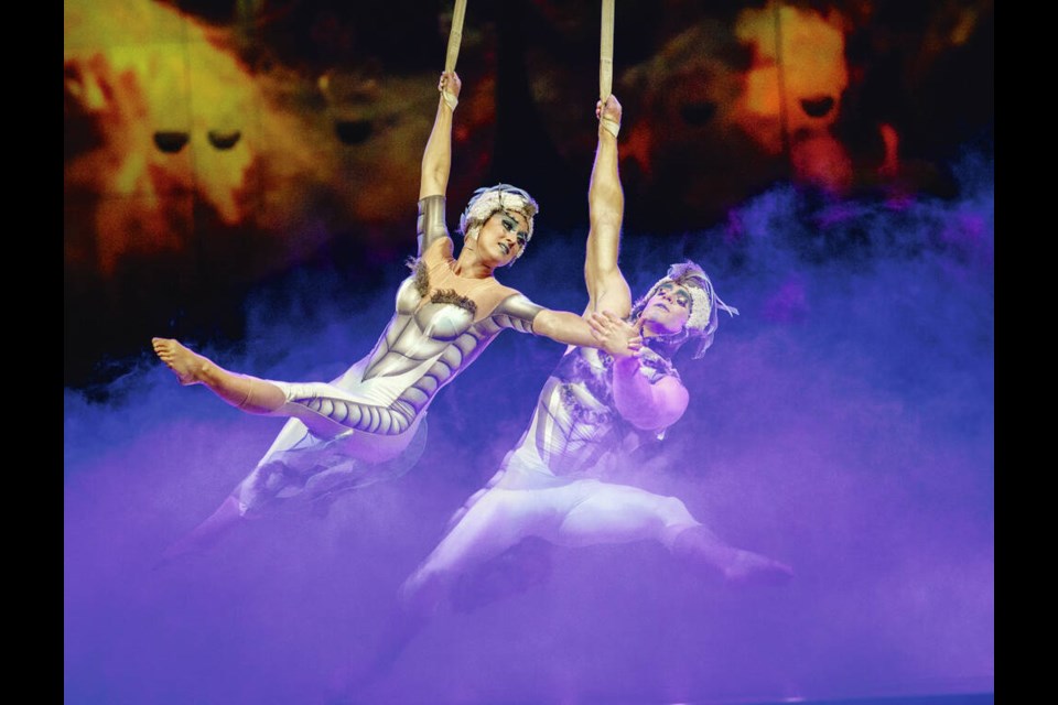 Aerobatic artists Alexis Trudel and Catherine Audy perform in in OVO by Cirque du Soleil at Save-on-Foods Memorial Centre. DARREN STONE, TIMES COLONIST 