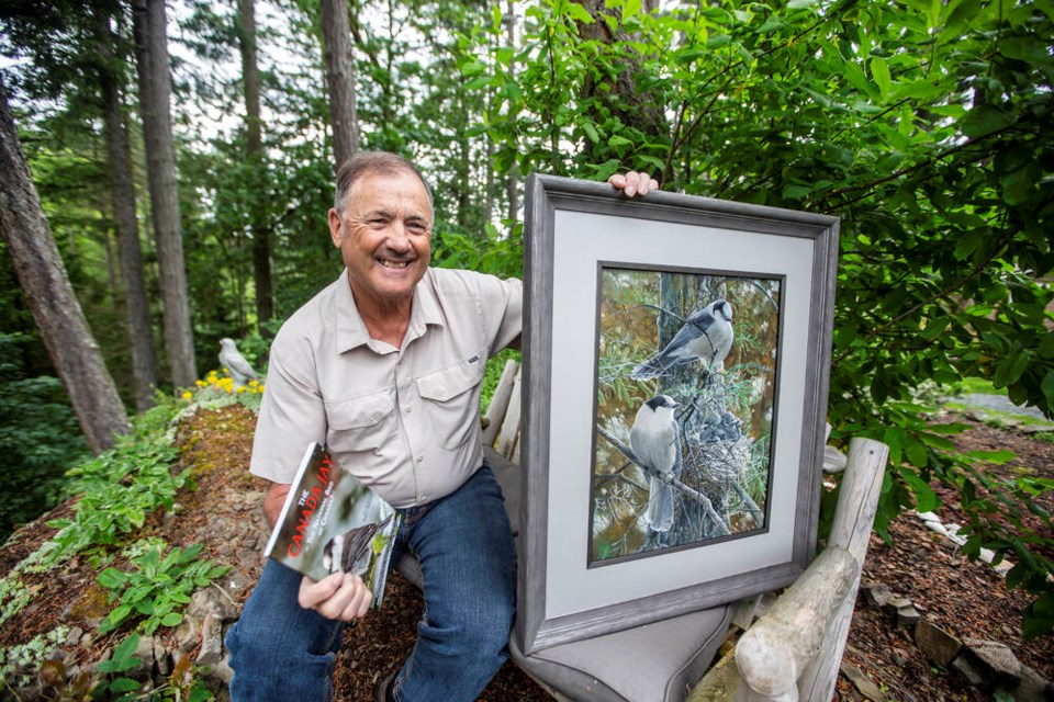 Ornithologist David Bird wants the federal government to designate the "friendly, intelligent, tough" Canada jay as our national bird. DARREN STONE, TIMES COLONIST 