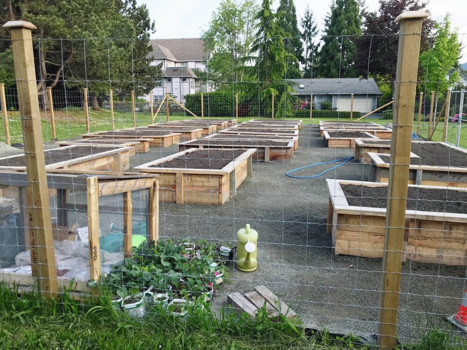 web1_cscg-garden-boxes-june-2022