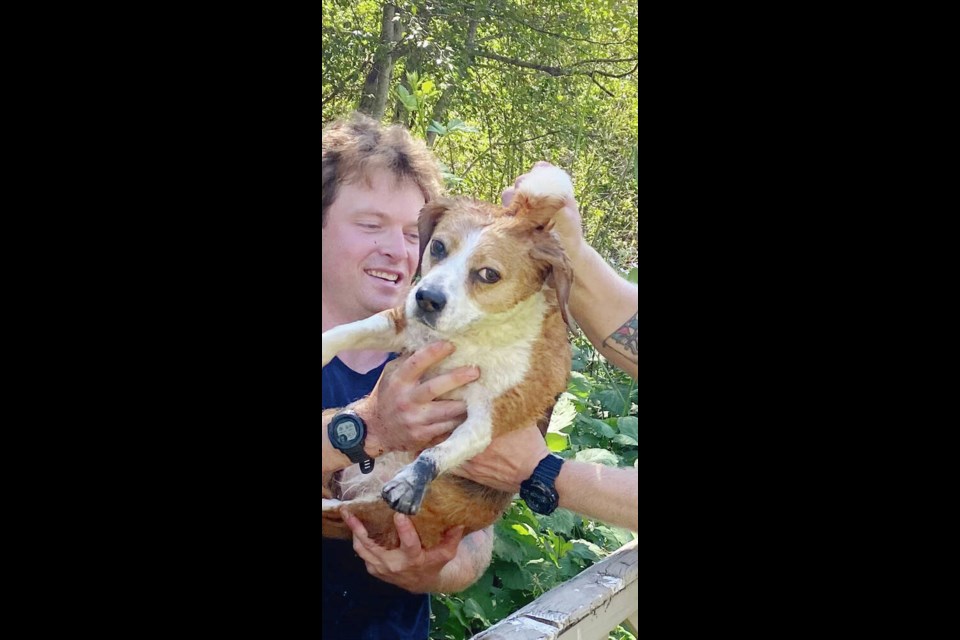 Dobby the dog was rescued from a drainage system by the Nanaimo Fire Deparment with the help of a hose and blankets wrapped around it. NANAIMO FIRE RESCUE 