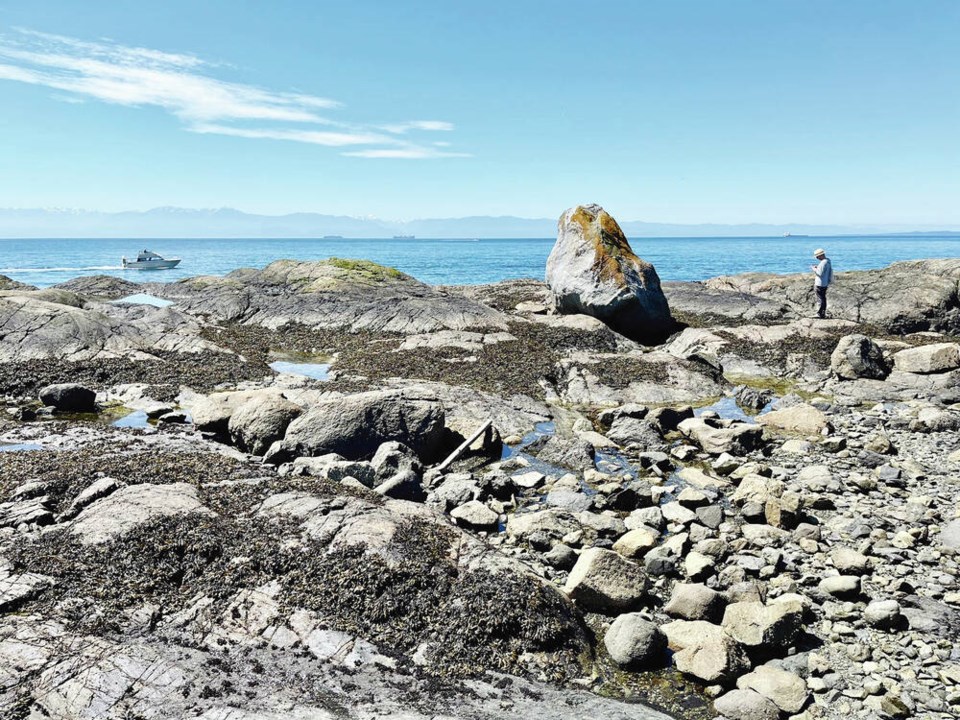 web1_low-tide-rocks