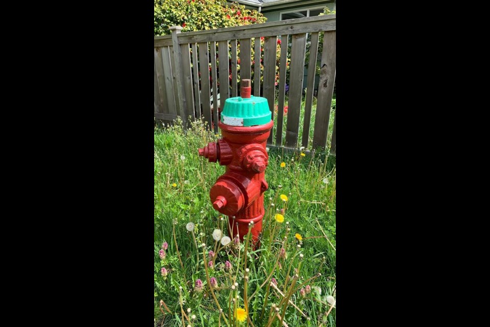 A hydrant built by Victoria's Ramsay's Machine Works, at Topaz Avenue and Glasgow Street, just east of Topaz Park. HARVEY STARKMAN 