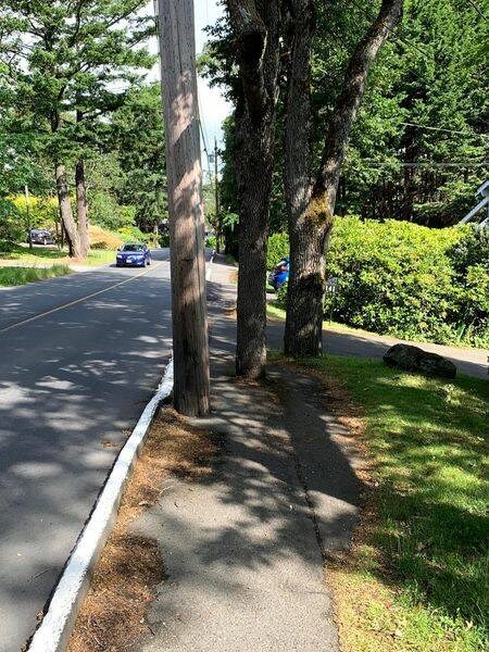 The "Jankiest Sidewalk" in the capital region is in the 4100-block of Cedar Hill Road, where pedestrians have to weave through trees and a utility pole. WALK ON, VICTORIA VIA FACEBOOK