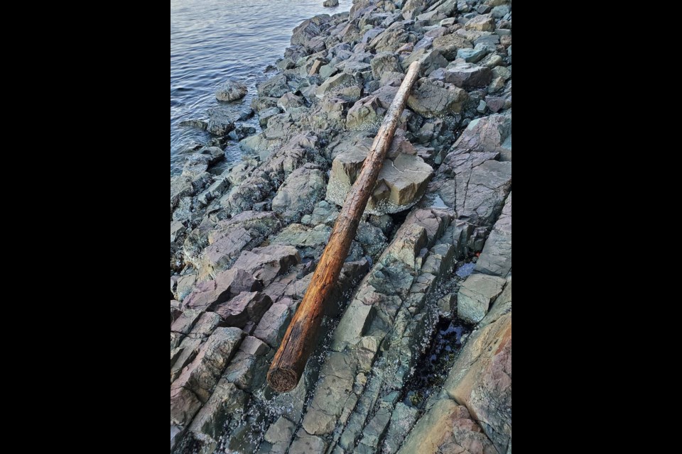 RCMP said the log that struck the kayakers on Aug. 6, 2022, was 20 feet long and eight inches in diameter. NANAIMO RCMP 