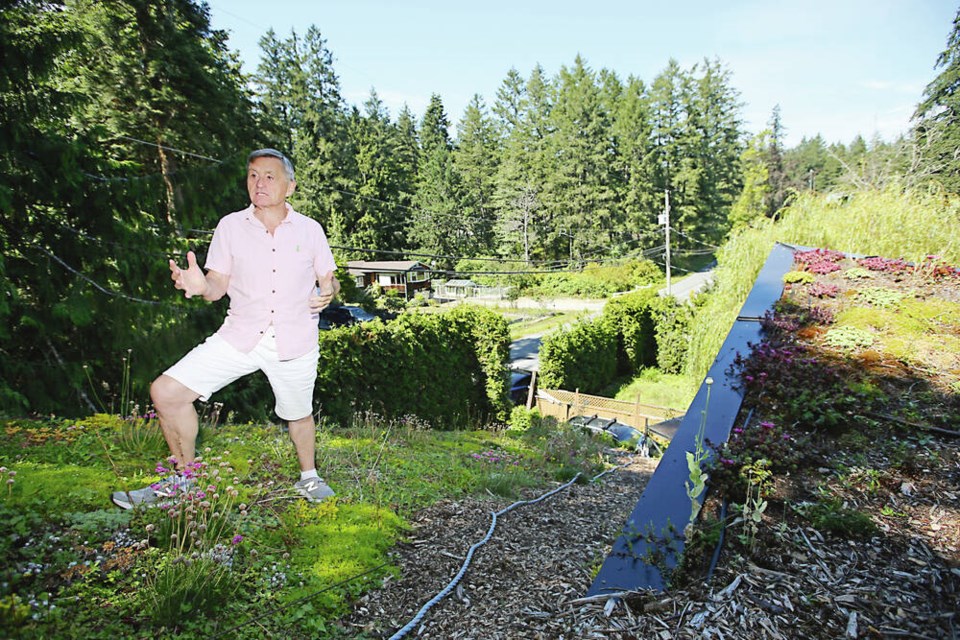 Saanich Mayor Fred Haynes shows off his green roof at his home on Prospect Lake Road. ADRIAN LAM, TIMES COLONIST 