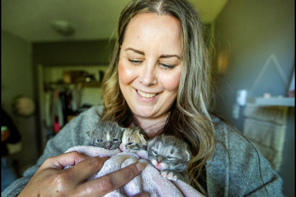 Leigh Patten with the kittens she is taking care of for the SPCA. DARREN STONE, TIMES COLONIST