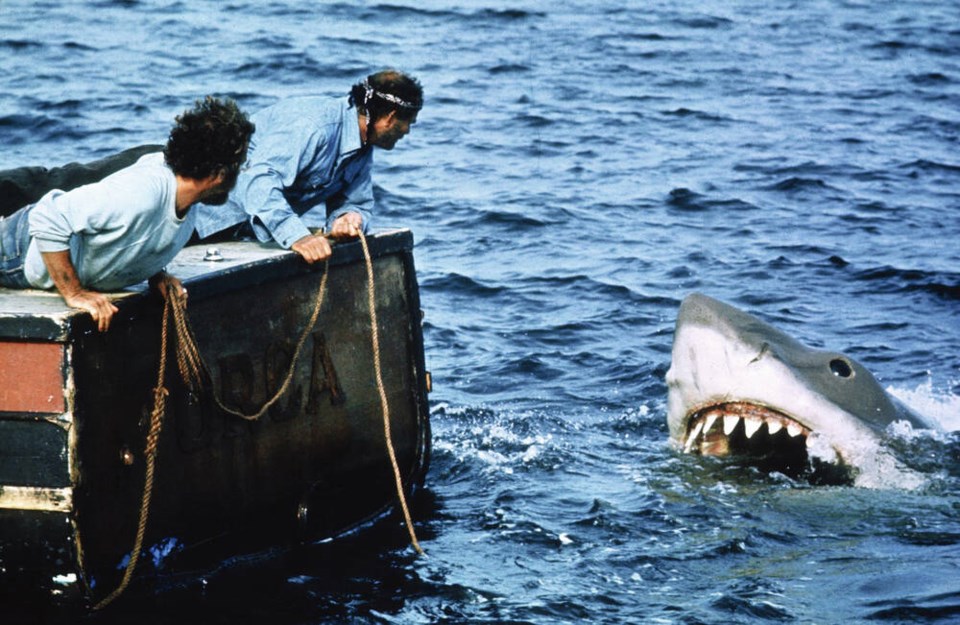 web1_jaws