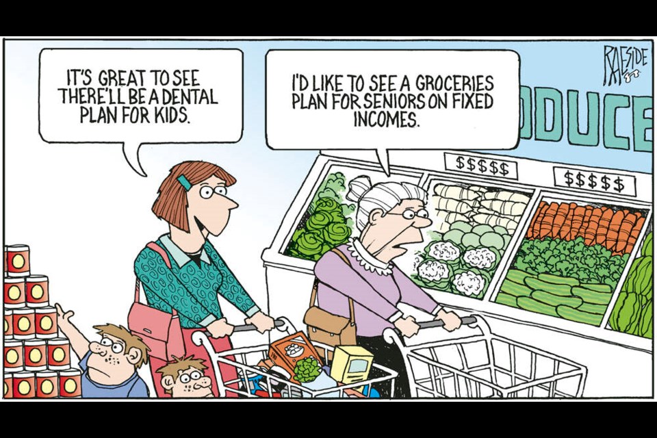 Adrian Raeside cartoon: Buying groceries on a limited budget.   Sept. 24, 2022