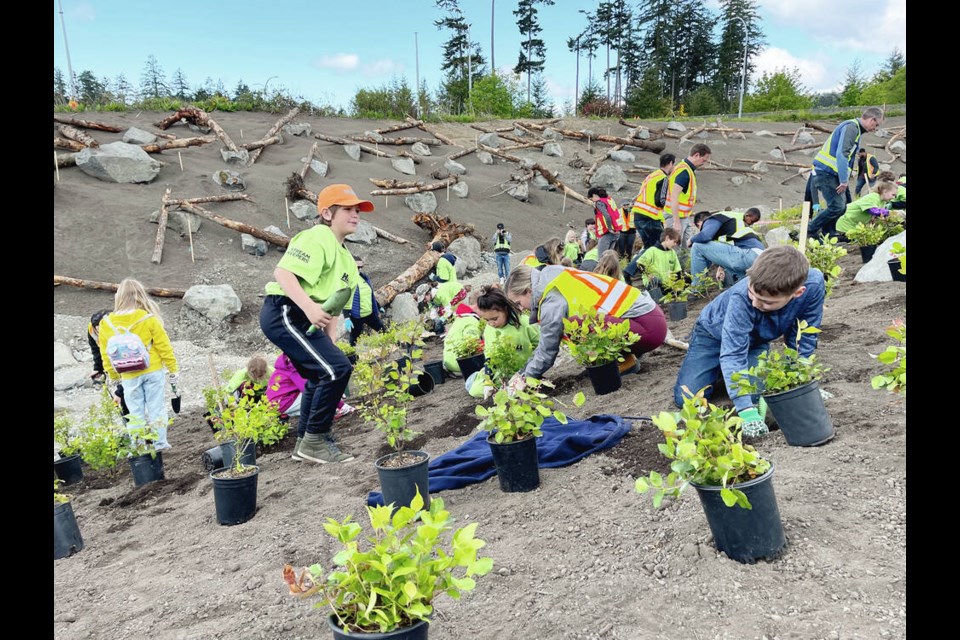 Students from Eagleview elementary plant native plants on the stream bank. VIA B.C. TRANSIT 