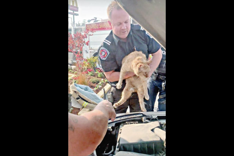 The cat was rescued by members of the Central Saanich Fire Department with help from police. Via Central Saanich Fire Department 