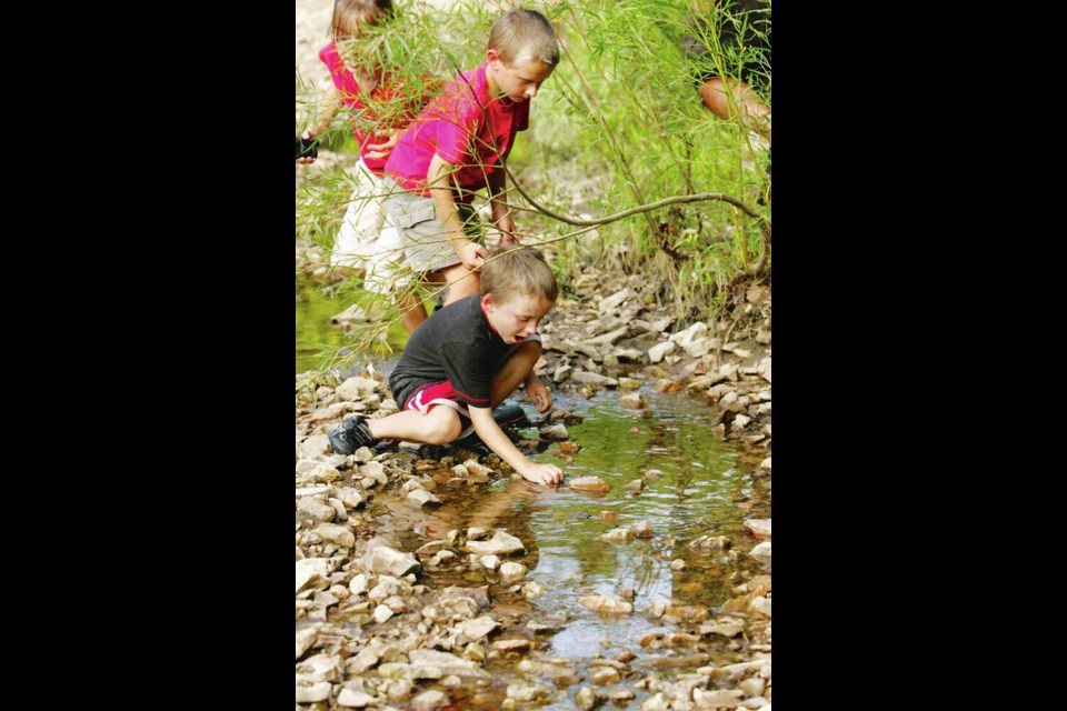 Childcare can only get licensed in B.C. if it is attached to a building, which leaves out nature-based outdoor childcares. U.S. Fish and Wildlife Service via Wikimedia Commons 