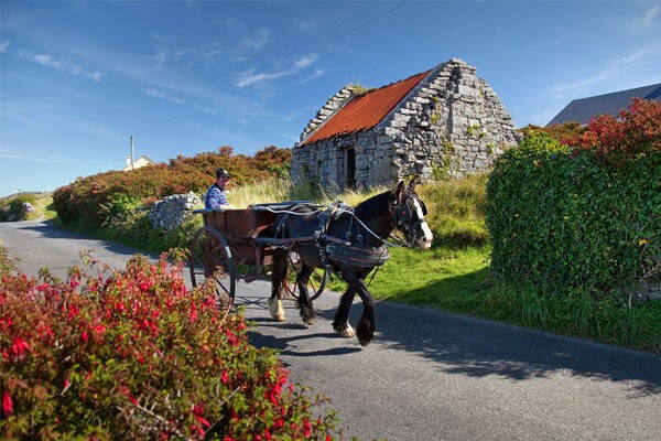 web1_ireland-aran-island-horse-cart