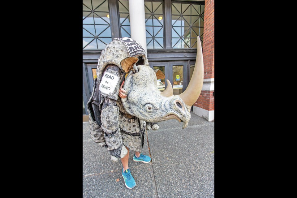 Running Rhinos' Brad Schroder, a.k.a. Brad the Rhino, who runs marathons all over the world to fundraise for Save the Rhino, will be in the Royal Victoria Marathon on Sunday. DARREN STONE, TIMES COLONIST 