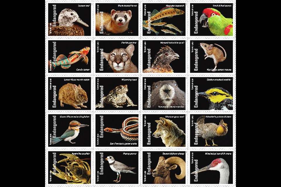 Photo Ark stamps celebrate 50th anniversary of Endangered Species Act -  Joel Sartore