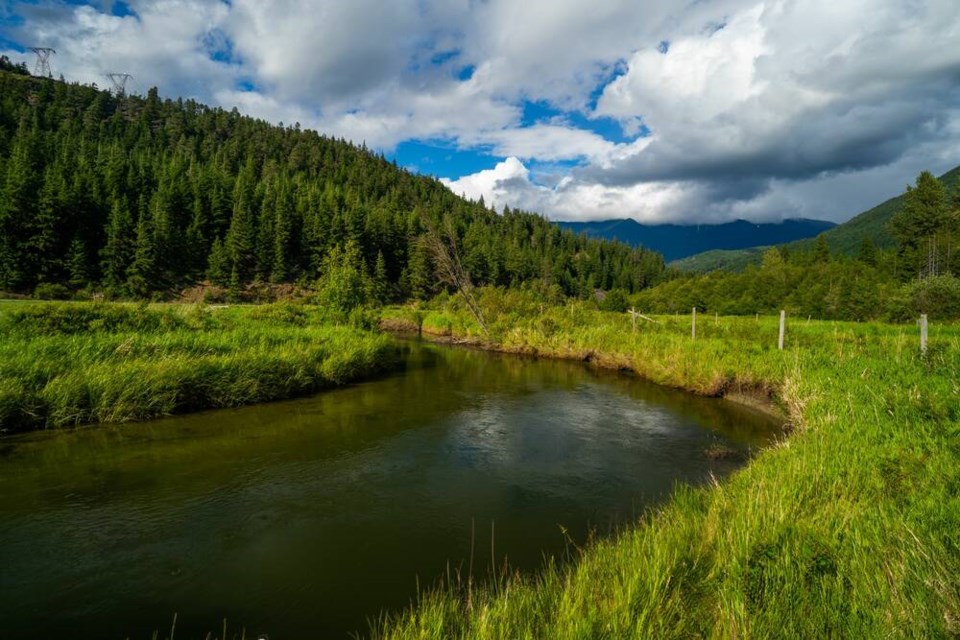 web1_nature-conservancy-of-canada---gates-creek-property---photo-by-fernando-lessa