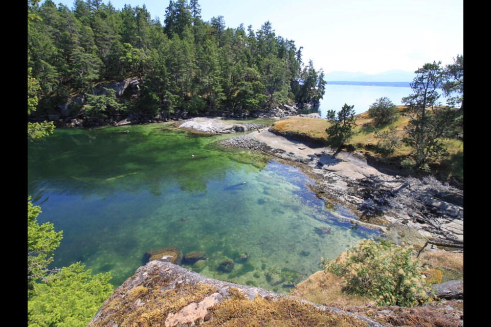 The southern point of Link Island. NANAIMO AND AREA LAND TRUST 