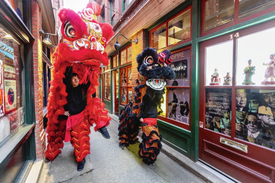 Wong Sheung Kung Fu Club lion dancers Justin Lee and Jack Detor (left lion) and 10-year-olds Lucas Knezacek and Oscar Knezacek (right lion) perform in Fan Tan Alley near the Chinese Canadian Museum in Victoria’s Chinatown. Lion dances are a traditional part of multi-day celebrations marking the start of a new year on the lunar calendar. This year is the Year of the Rabbit. In Victoria, the main public celebration will be next Sunday, Jan. 29, in Chinatown from noon to 3:30 p.m. Wong Sheung dancers will be among the performers. DARREN STONE, TIMES COLONIST