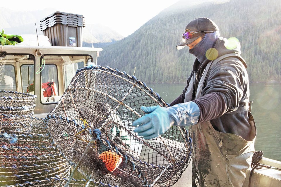 Recreational crab, prawn and other shellfish harvesting in B.C.