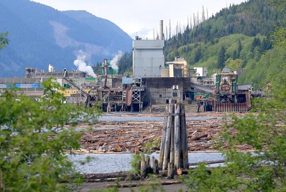 web1_port-alice-pulp-mill