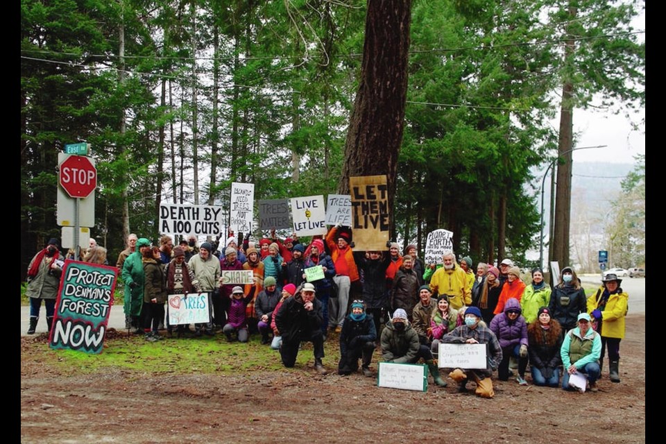 Protesters on Denman Island oppose plans to cut down 100-plus trees to make room for an expanded B.C. Ferry terminal. C URQUHART 
