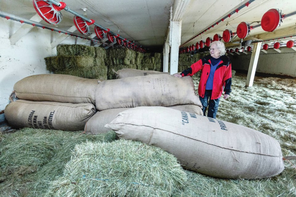 Lorraine Buchanan with bags of wool at Parry Bay Sheep Farm. The collapsing market for Canadian wool is being blamed on several factors, including a shift to producing polyester and plastic-fibre textiles. DARREN STONE, TIMES COLONIST 