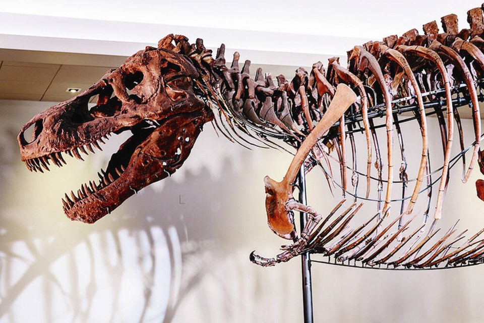 Sue the T. Rex gets life-like model to match skeleton - Chicago