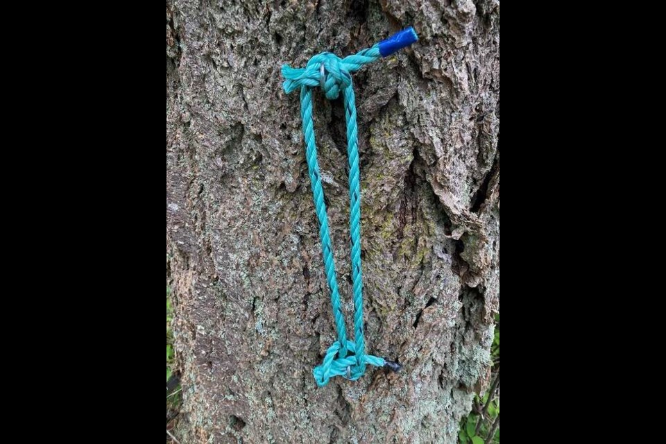 Just over 900 metres of turquoise and blue rope was stolen from the grounds of the Fort Rodd Hill and Fisgard Lighthouse National Historic Sites in Colwood on April 19. VIA WEST SHORE RCMP 