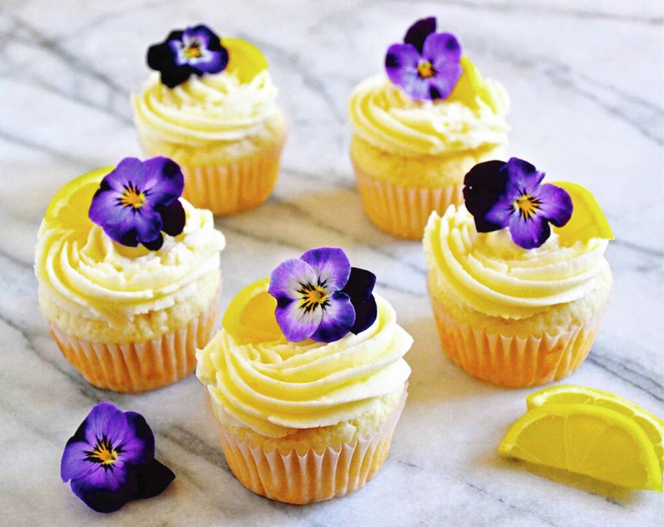 web1_akis-lemon-cupcakes