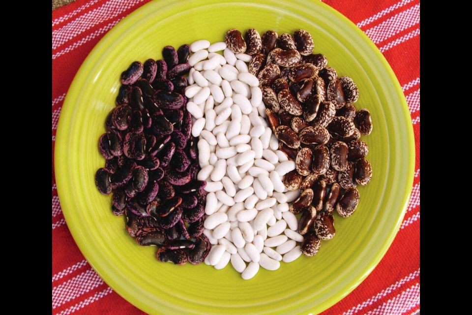 Dried beans from pole and runner beans can be cooked as a vegetable or used in a baked bean recipe.  HELEN CHESNUT