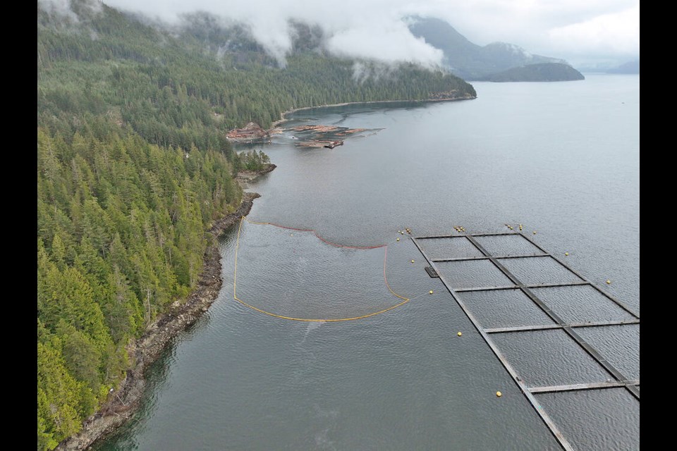 Booms deployed in Chancellor Channel near Sayward to contain leaking diesel fuel after a fuel truck rolled off a barge on April 20, 2023. B.C. MINISTRY OF ENVIRONMENT AND CLIMATE CHANGE STRATEGY. 