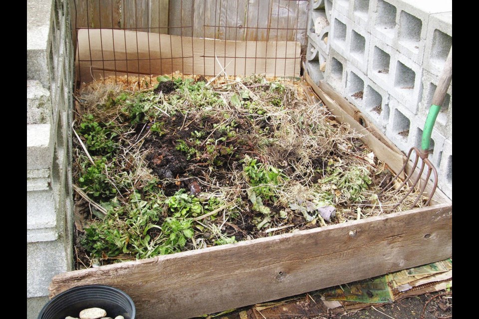 Compost heaps, as they build through the season with garden trimmings, absorb and store carbon. HELEN CHESNUT 