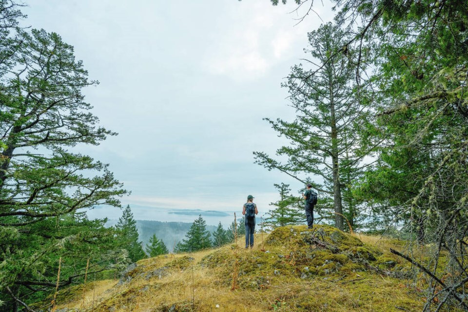 Hikers enjoy the views from the top of Reginald Hill on Salt Spring Island. FERNANDO LESSA VIA NATURE CONSERVANCY OF CANADA 