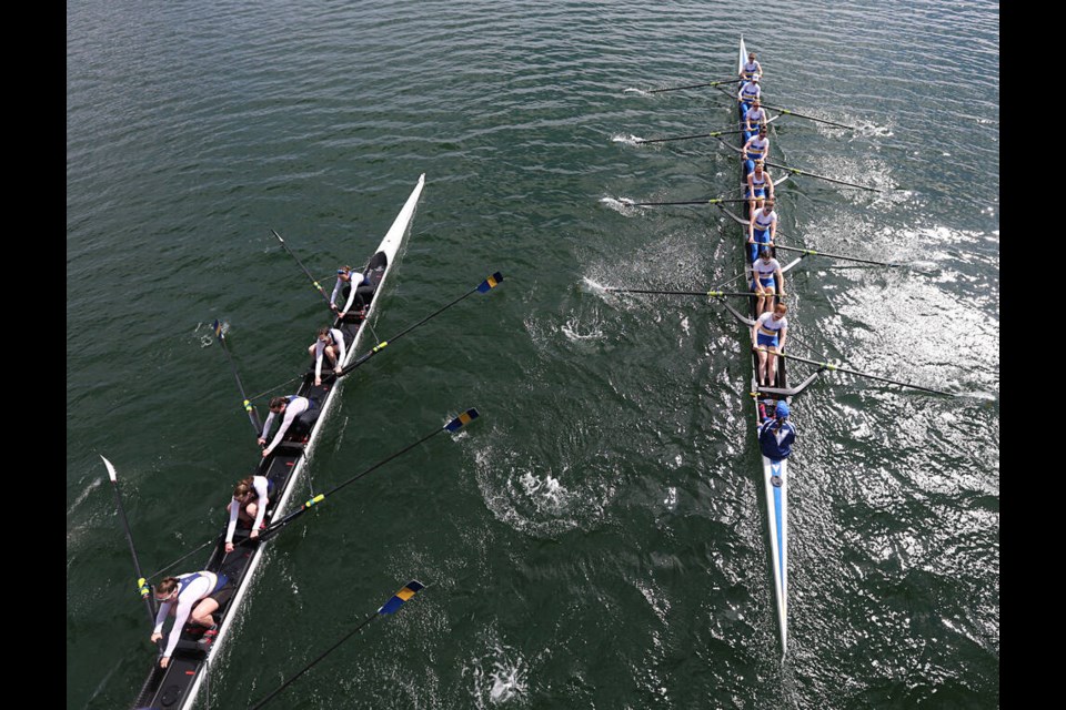 The University of Victoria women's rowing team, left, races against University of B.C. during the Brown Cup, passing underneath the Selkirk Trestle. ADRIAN LAM, TIMES COLONIST 