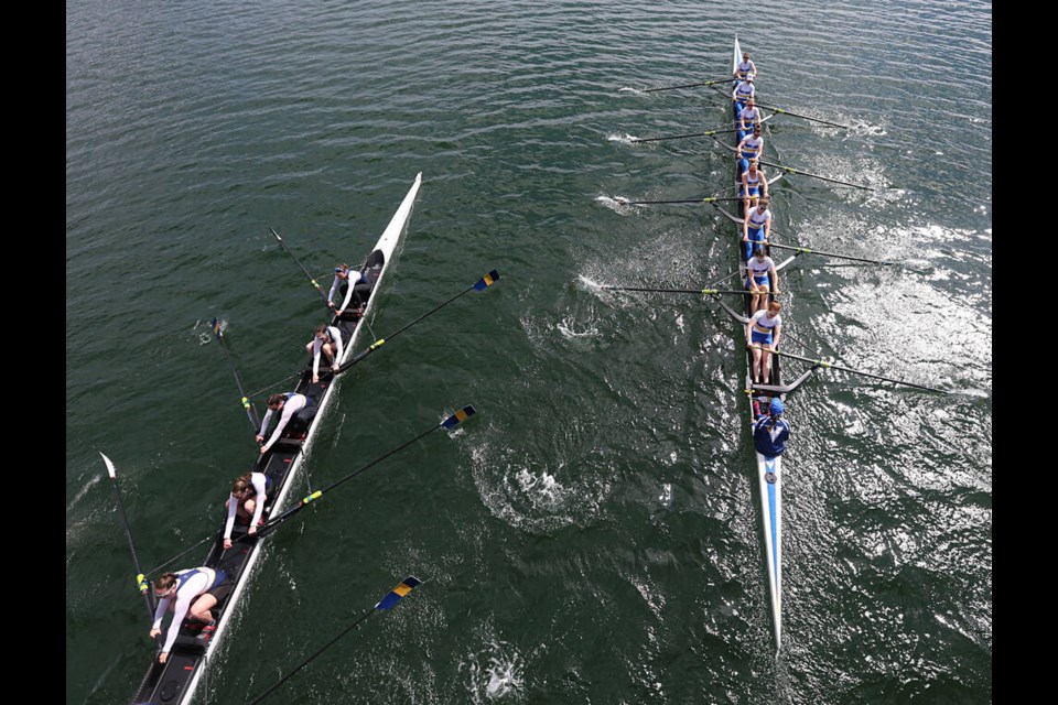 The University of Victoria women's rowing team, left, races against University of B.C. during the Brown Cup, passing underneath the Selkirk Trestle. ADRIAN LAM, TIMES COLONIST 