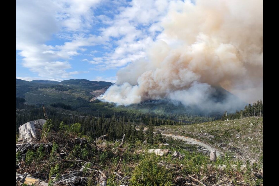 A wildfire west of Sayward on Vancouver Island had grown to 90 hectares by Tuesday morning. B.C. WILDFIRE SERVICE 