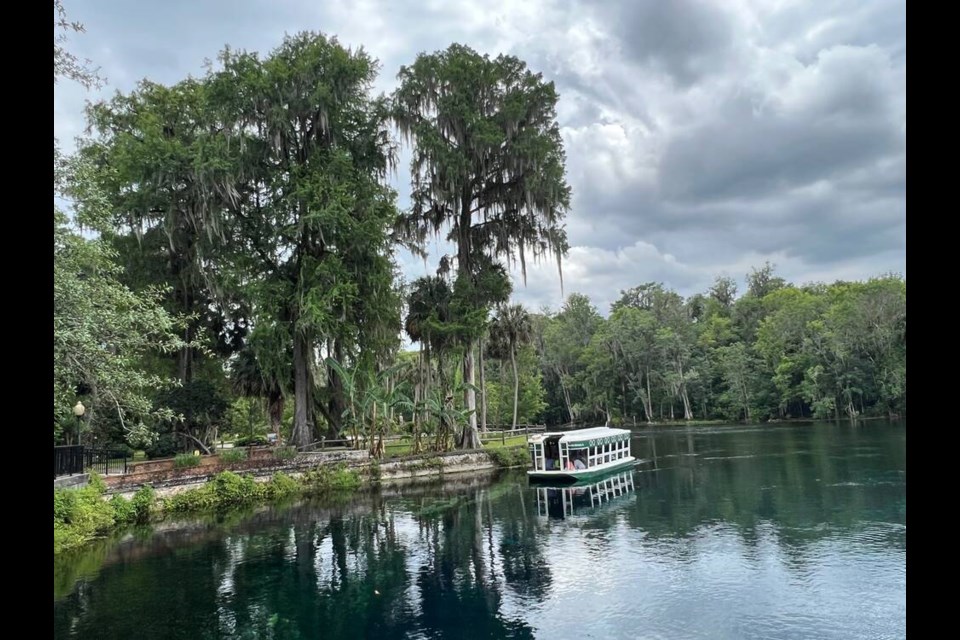 Silver Springs State Park in Ocala has a lovely boardwalk trail but is best known for its glass bottom boats. KIM PEMBERTON 