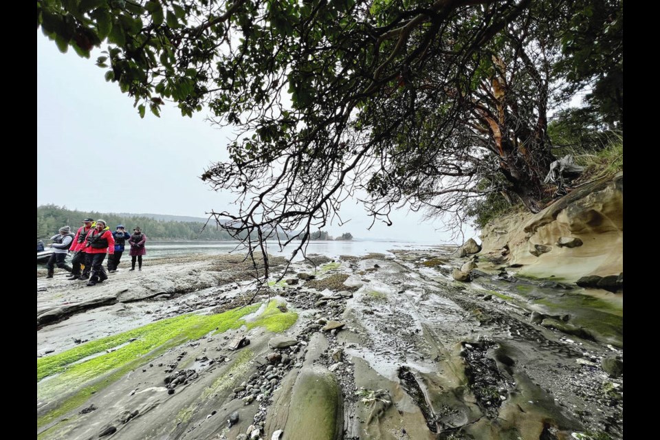 Expedition cruise passengers stroll along the waterfront during a shore outing to Narvaez Bay in the Gulf Islands National Park Reserve. KIM PEMBERTON PHOTO 