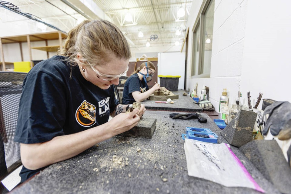 Amanda Brownschlaigle-Miller and Dana Whitcomb, back, work on fossils in the new James Bay location for Dino Lab.   DARREN STONE, TIMES COLONIST 