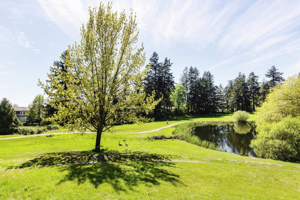 Fairway at the former Royal Oak Golf Course. DARREN STONE, TIMES COLONIST 