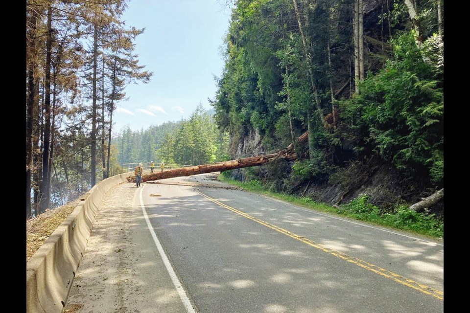 Highway 4 is closed due to debris from the Cameron Bluffs wildfire. B.C. Ministry of Transportation and Infrastructure 