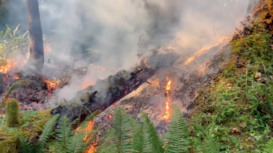 web1_6262023-port-alberni-fire