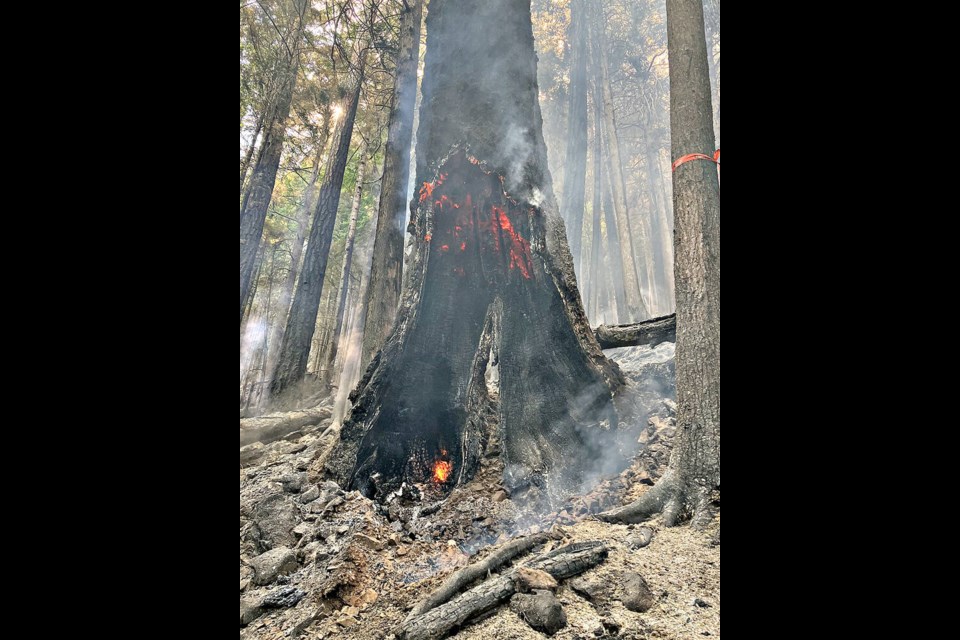 Wildfire at Cameron Lake Bluffs along BC Highway 4 has created significant danger tree concerns. B.C. MINISTRY OF TRANSPORTATION AND INFRASTRUCTURE