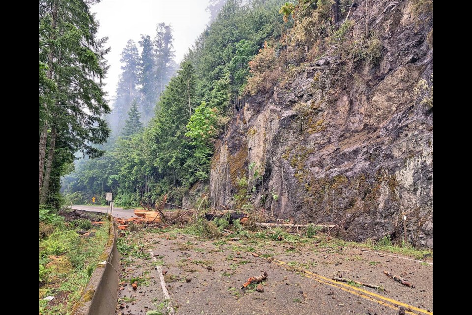 Tree fall resulting from wildfire on BC Highway 4 at Cameron Lake. B.C. MINISTRY OF TRANSPORTATION AND INFRASTRUCTURE