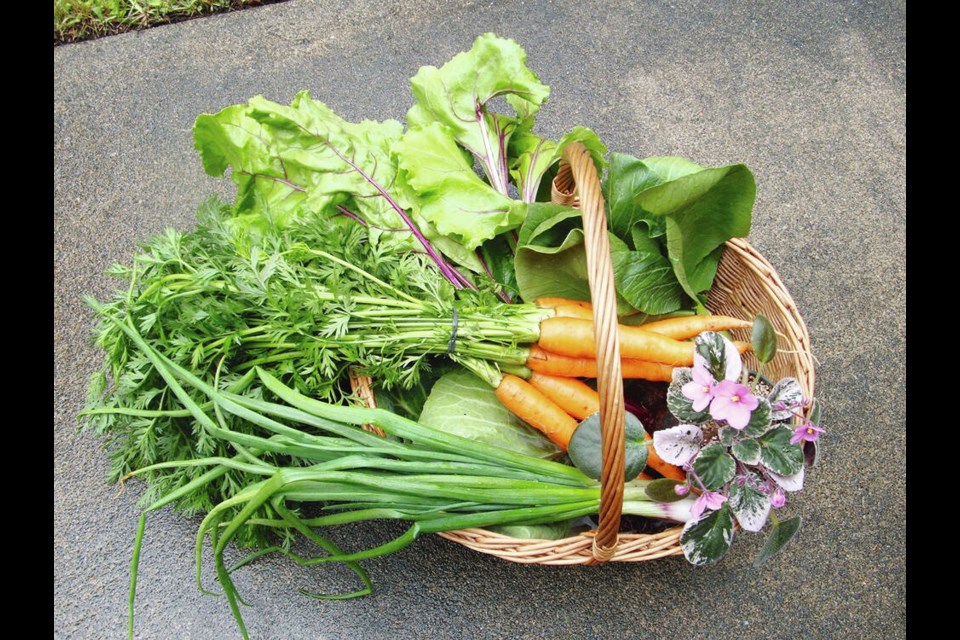 Not all home gardeners are able to grow every vegetable they like. Local farmers markets are the next best source of fresh produce. 
